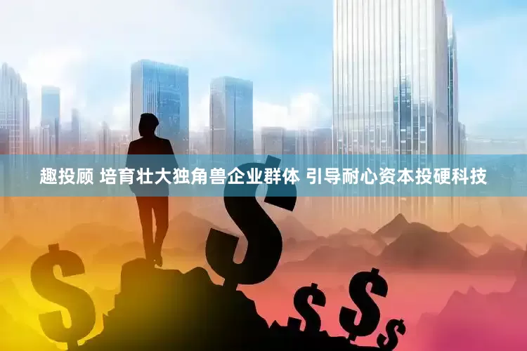 趣投顾 培育壮大独角兽企业群体 引导耐心资本投硬科技
