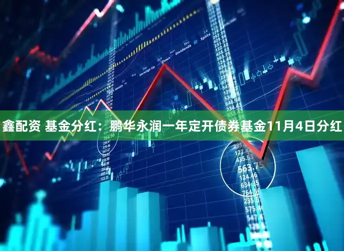 鑫配资 基金分红：鹏华永润一年定开债券基金11月4日分红